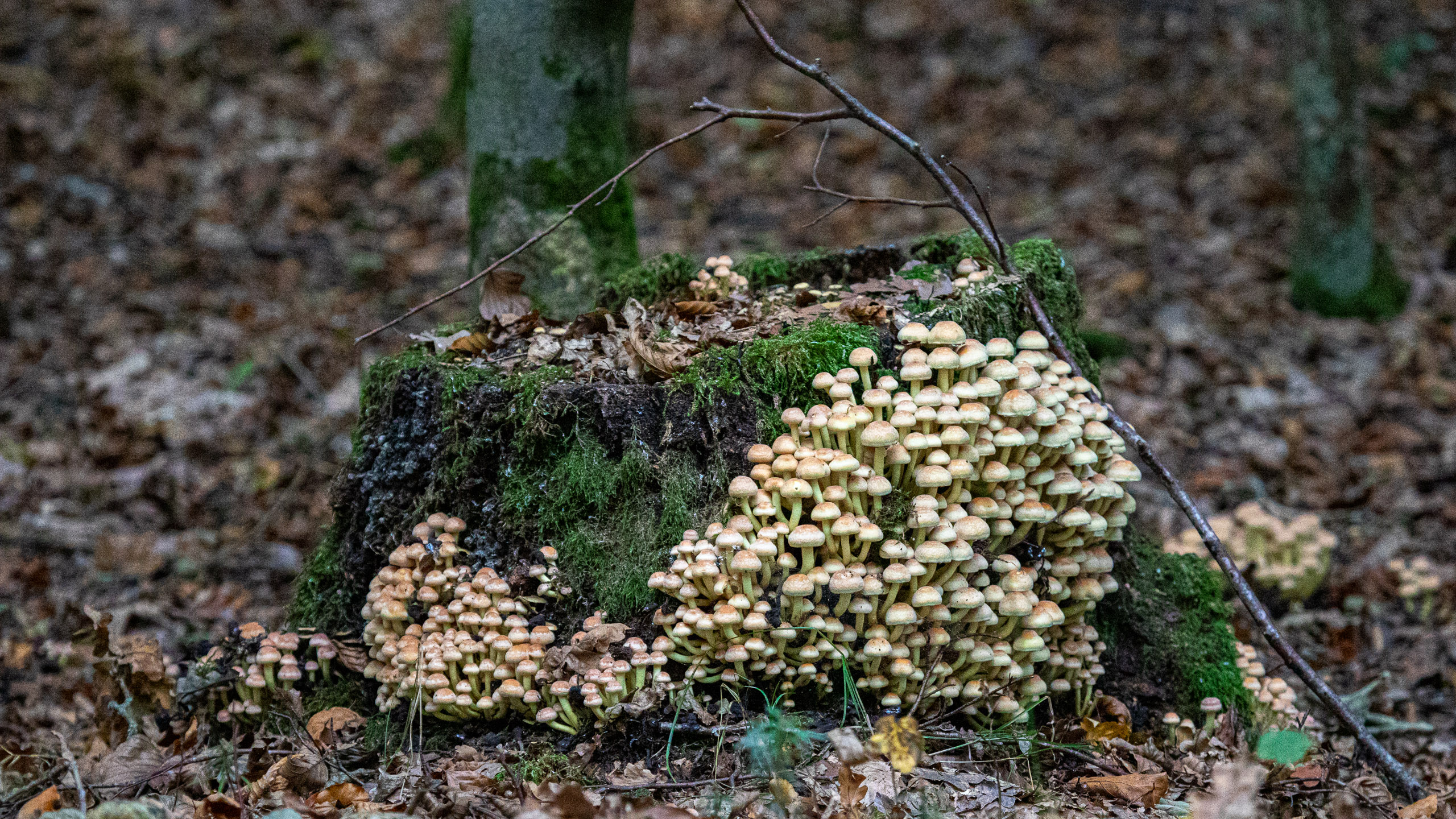 20231014100702 RD4 4642